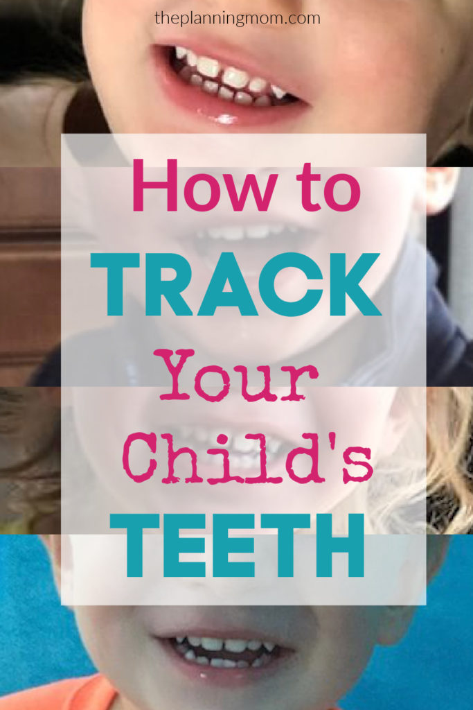 record when baby teeth come in and fall out, ways to track kid's teeth, tooth fairy ideas, when permanent teeth come in