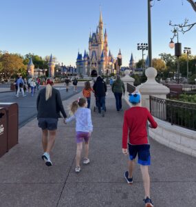 disney world tips, magic kingdom tips,