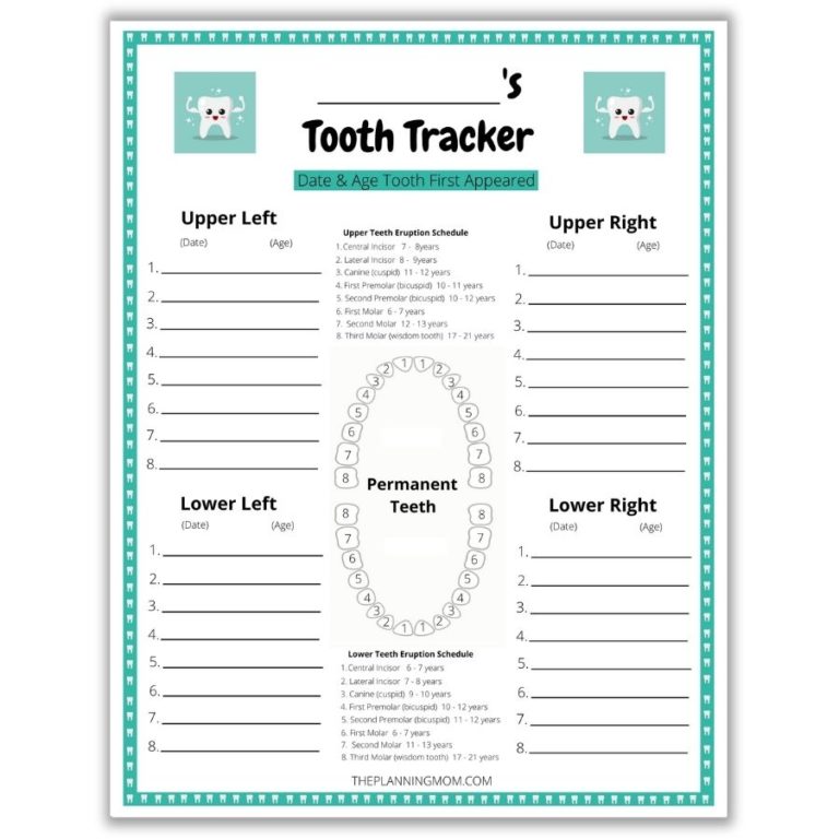 How to Track Your Child's Teeth The Planning Mom