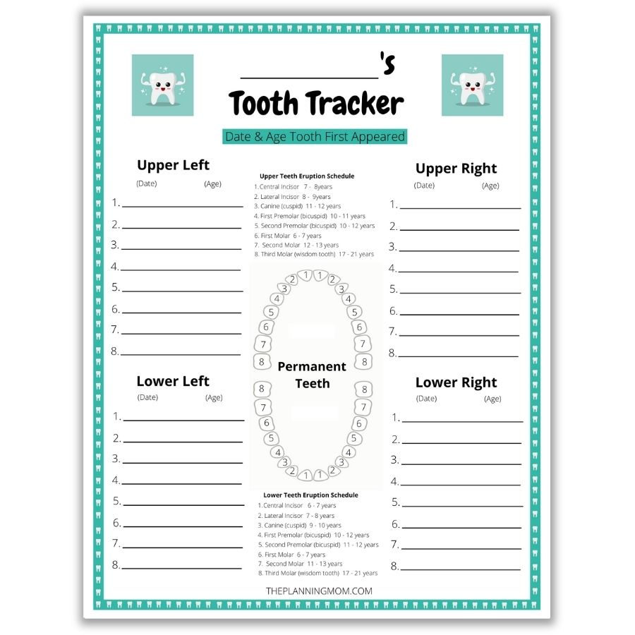 how to track your child's teeth, ways to record incoming and outgoing teeth, dates and ages teeth come in