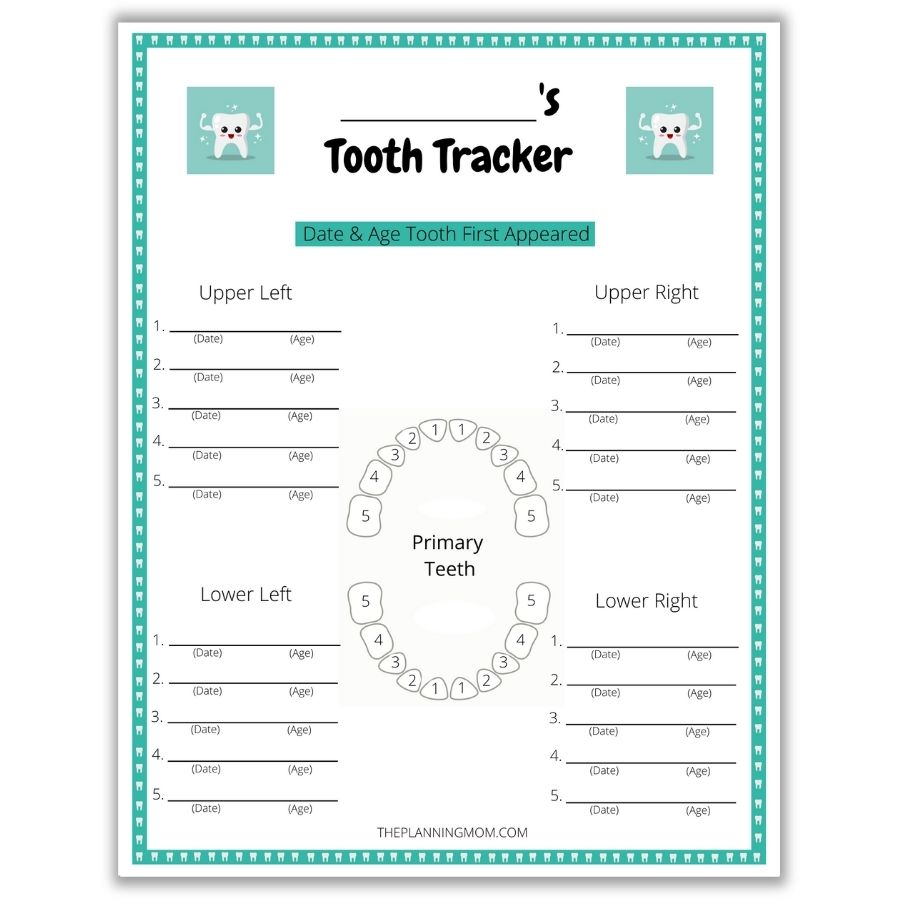 how to track your child's teeth, ways to record incoming and outgoing teeth, dates and ages teeth come in